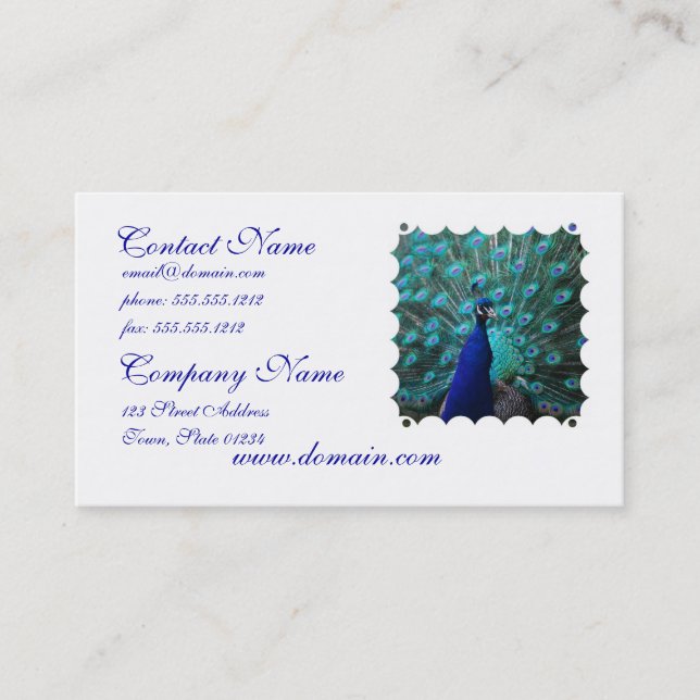 Pretty Peacock Business Card (Front)
