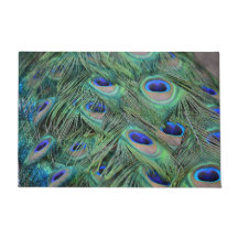 Pretty Peacock Feathers