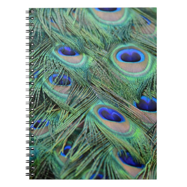 Pretty Peacock Feathers Notebook (Front)