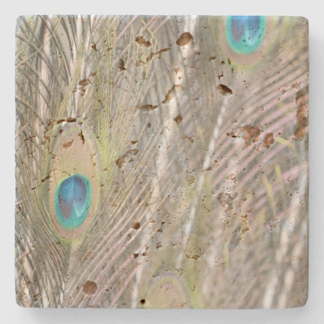 Pretty Peacock Feathers   Stone Coaster (Front)