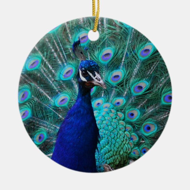 Pretty Peacock Ornament (Front)
