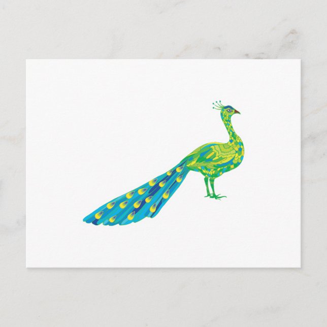 pretty peacock postcard (Front)