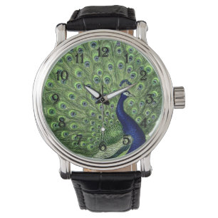 Pretty Peacock Watch