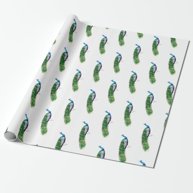Pretty Peacock Wrapping Paper (Unrolled)