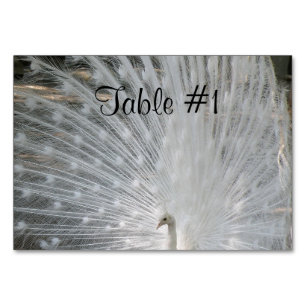 Pretty Peafowl Table Number