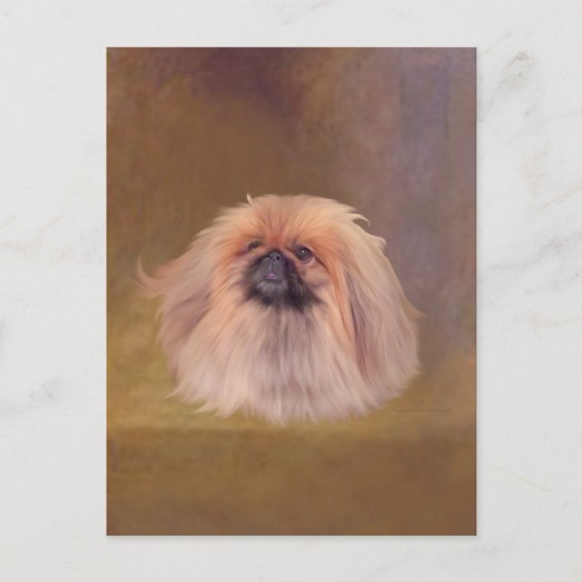 Pretty Pekingese Postcard (Front)