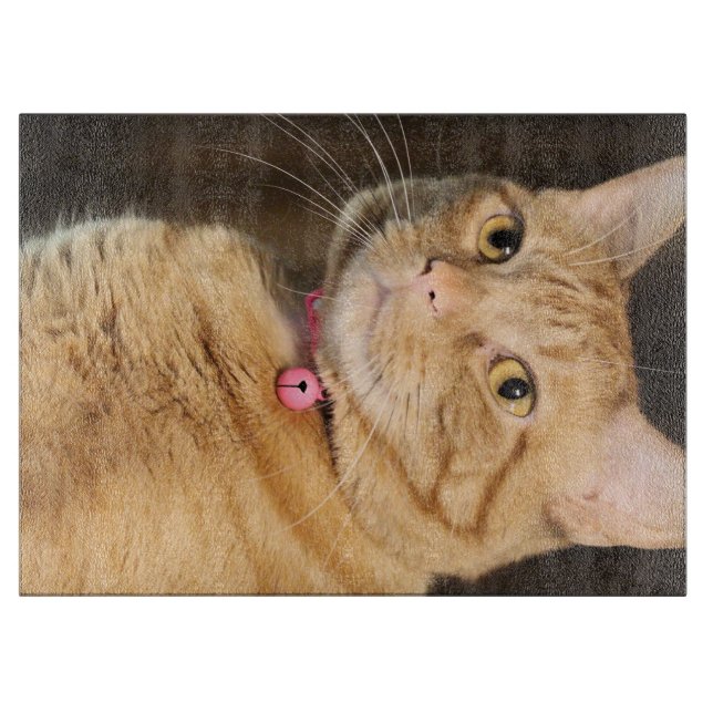 Pretty Penny Cutting Board (Front)