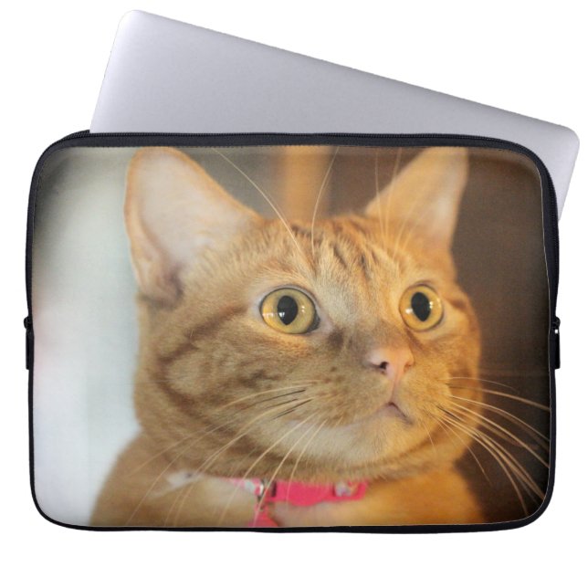 Pretty Penny Laptop Sleeve (Front)