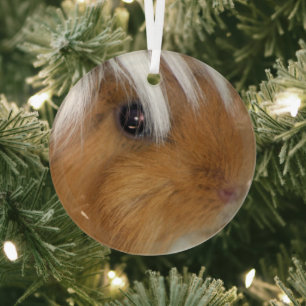 Pretty, Peruvian, Buff and White Guinea Pig Face Glass Tree Decoration