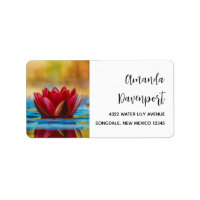 Pretty Photo of a Lotus Flower in a Pond