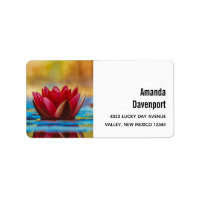 Pretty Photo of a Lotus Flower in a Pond