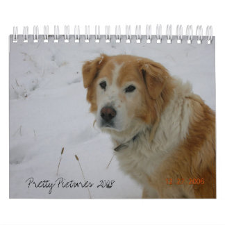 Pretty Pictures 2008 Calendar