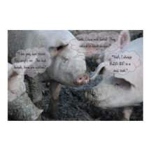 Pretty Pigs' 'Spa' Mud Facial & Mud Bath