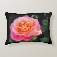 Pretty Pink and Orange Rose Macro Photo  