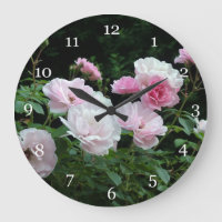 pretty pink and white rose flower bushes. Floral,