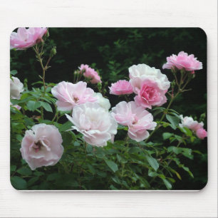 pretty pink and white rose flower bushes. Floral, Mouse Pad