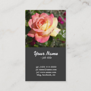 Pretty pink and yellow rose flower business card