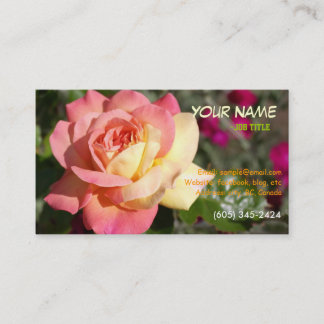 Pretty pink and yellow rose flower business card