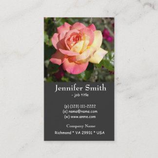 Pretty pink and yellow rose flower business card