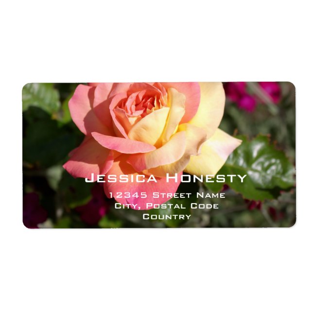 Pretty  pink and yellow rose flower, custom (Front)