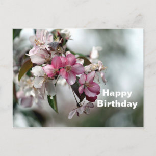 Pretty Pink Apple Floral Photo Birthday Postcard