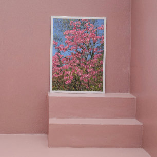 Pretty Pink Azaleas Floral Photo Print