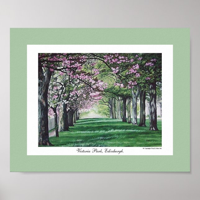 Pretty pink blossom Edinburgh scenery fine art Poster (Front)