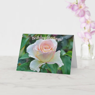 Pretty Pink Blush Rose Art Birthday Card