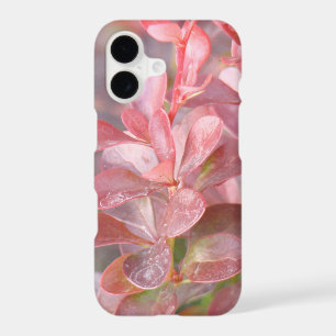 Pretty Pink Branches