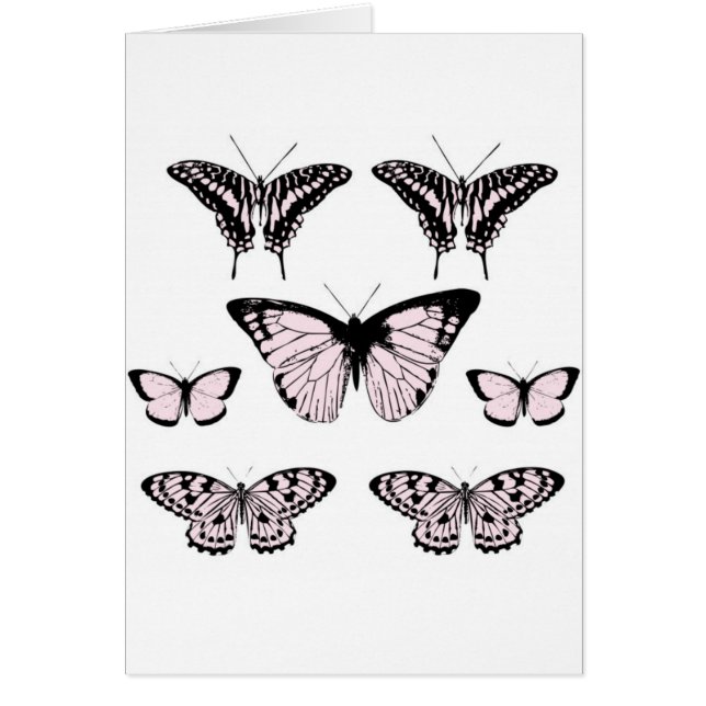 Pretty Pink Butterflies (Front)