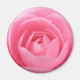 Pretty Pink Camellia Flower Magnet