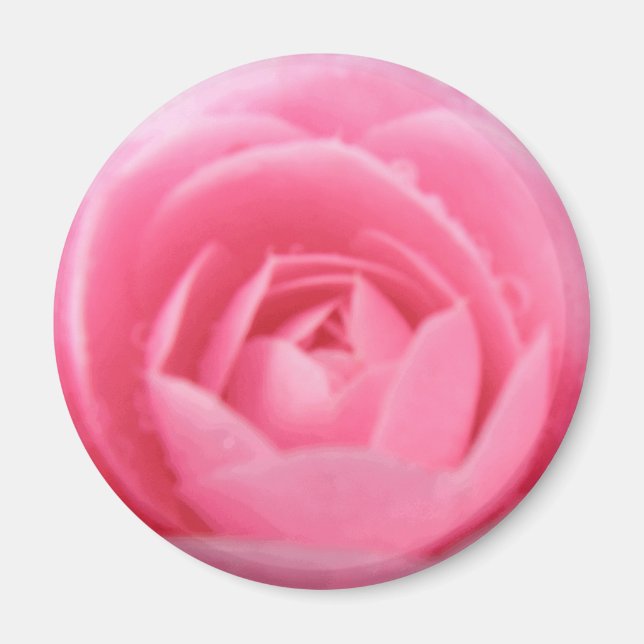 Pretty Pink Camellia Flower Magnet (Front)