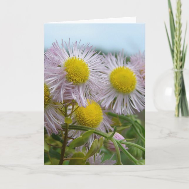 Pretty Pink Card (Front)