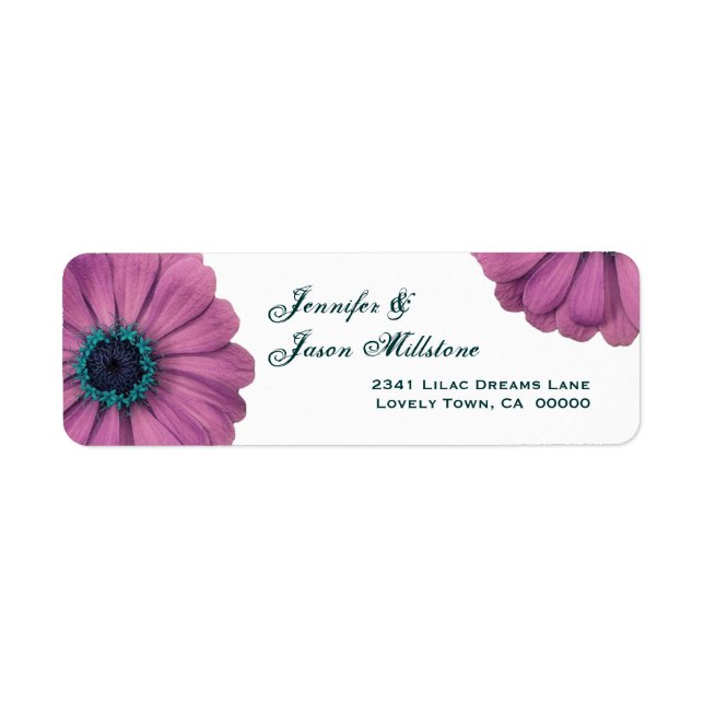 Pretty Pink Daisies (Front)