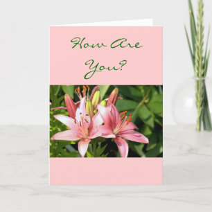 Pretty Pink Daylilies "How Are You"? (photog) Card