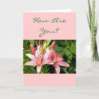 Pretty Pink Daylilies "How Are You"? (photog) Card