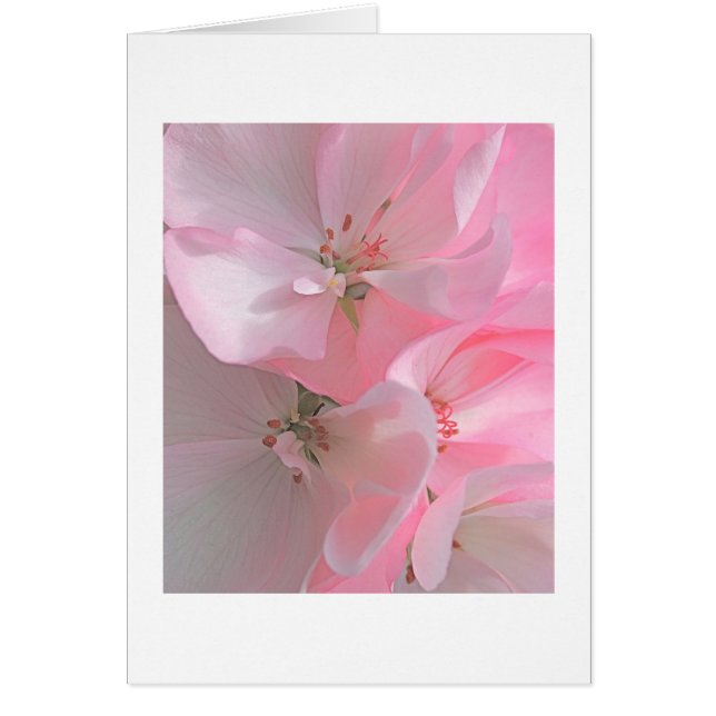 Pretty Pink Flowers Blank Note (Front)