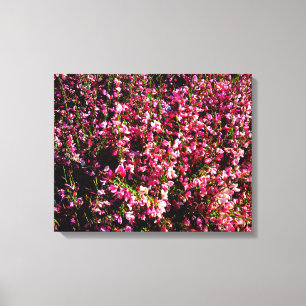 Pretty Pink Flowers Canvas Print