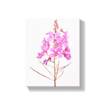 Pretty pink flowers simple modern floral botany