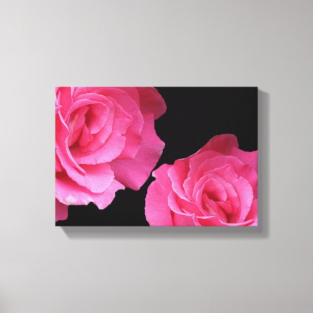 Pretty pink French rose floral black fine art Canvas Print (Front)