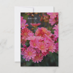 Pretty Pink Garden Flowers Card