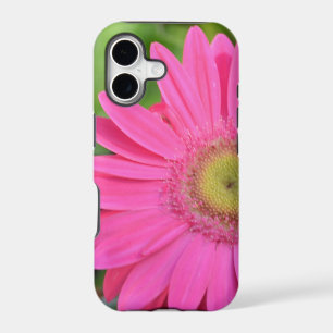 Pretty Pink Gerberas