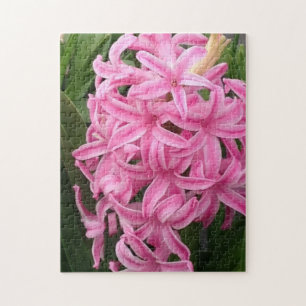 Pretty Pink Hyacinth Flowers Jigsaw Puzzles