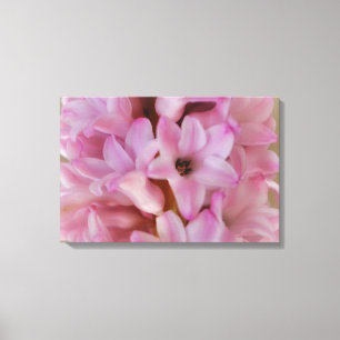 Pretty pink Hyacinth Spring Flower Canvas Art