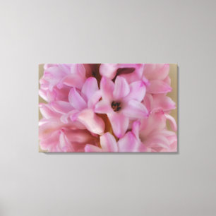 Pretty pink Hyacinth Spring Flower Canvas Art