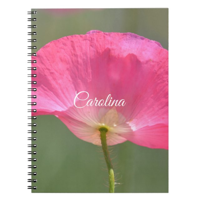 Pretty Pink Iceland Poppy Flower Notebook (Front)