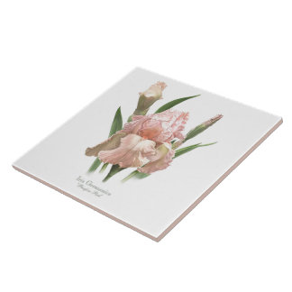 Pretty Pink Iris Botanical Style Art Tile