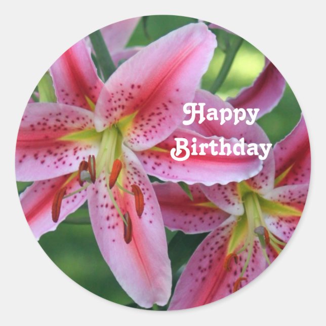 Pretty Pink Lily Floral Photo Birthday Classic Round Sticker (Front)