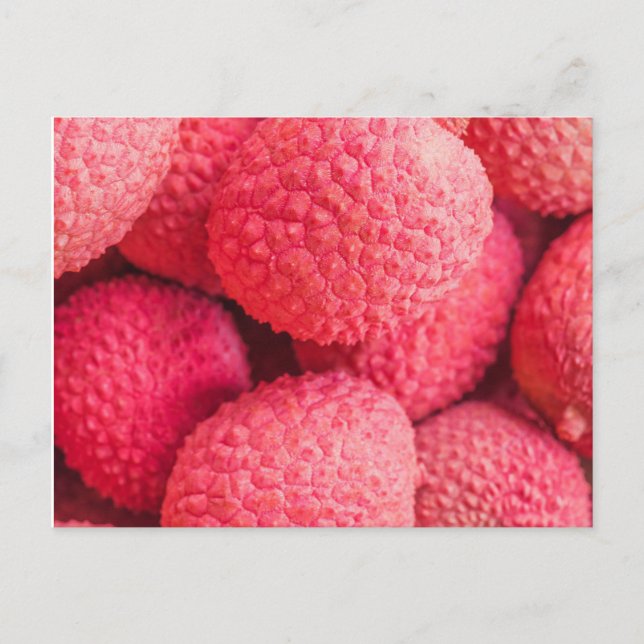 Pretty Pink Lychee Fruit Pattern Postcard (Front)