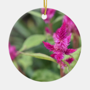 Pretty Pink Magenta Flowers Celosia Garden Photo Ceramic Tree Decoration